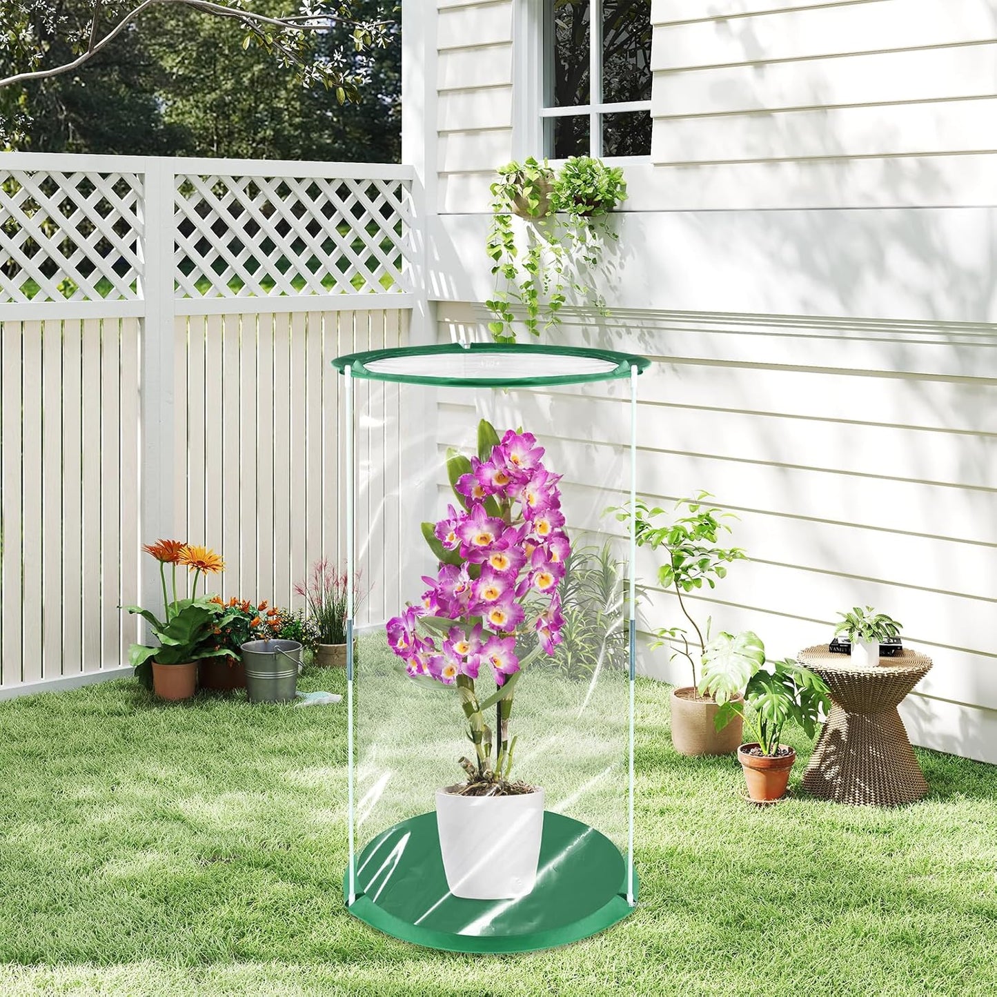 Pop Up Gewächshaus Klein, 2 Stück 53×30cm Mini Gewächshaus für Kübelpflanzen für Blumen Gemüse & Pilze, Transparentes PVC Überwinterungszelt für Pflanzen