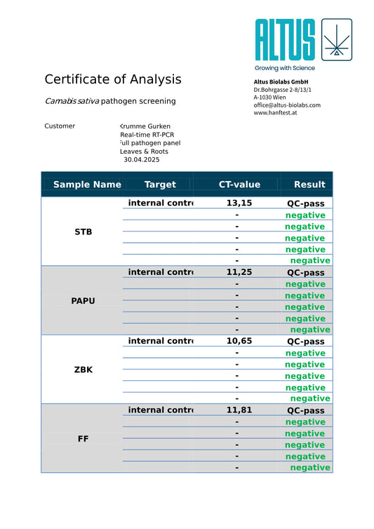 Apple Fritter (Lumpys Cut)