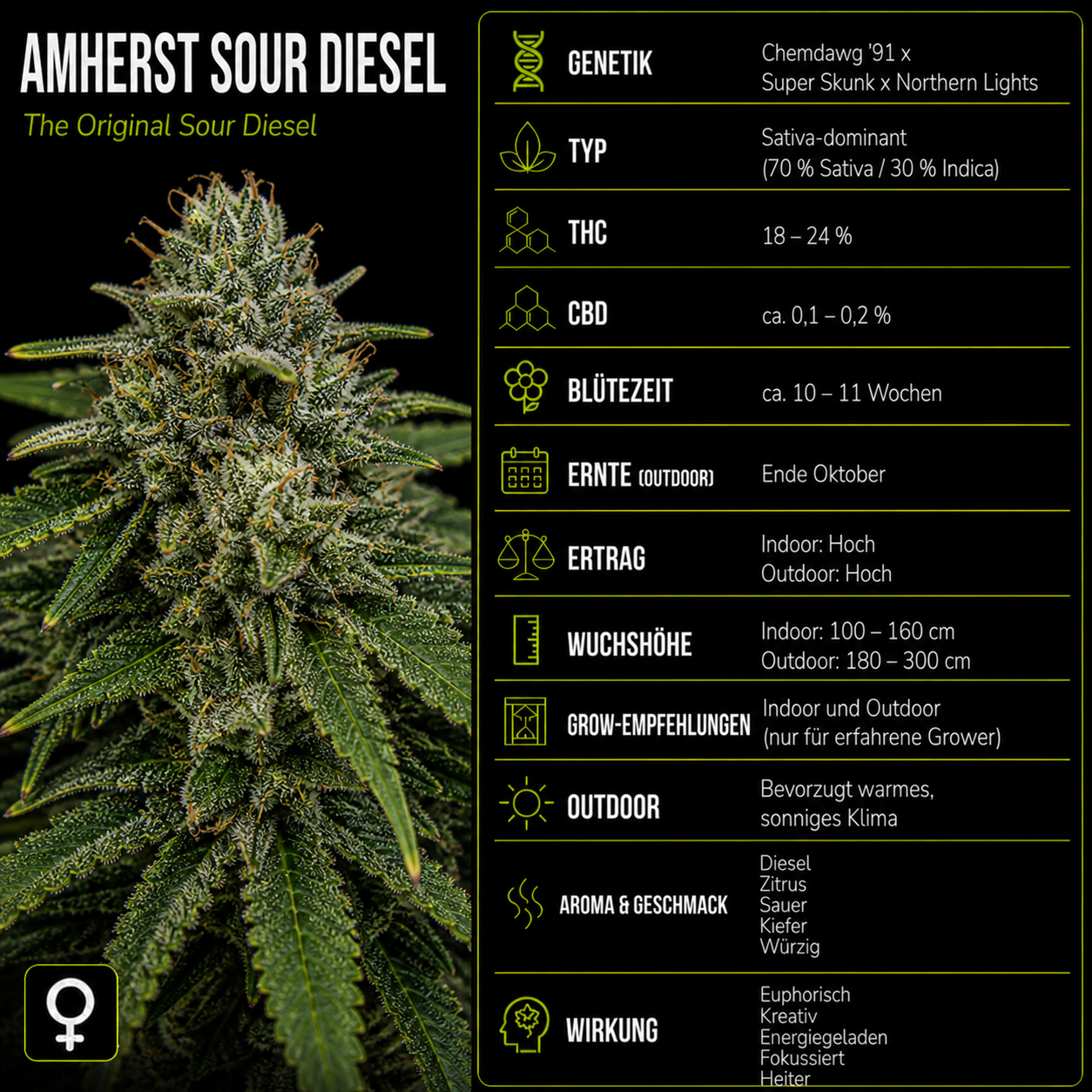 Fem | Amherst Sour Diesel