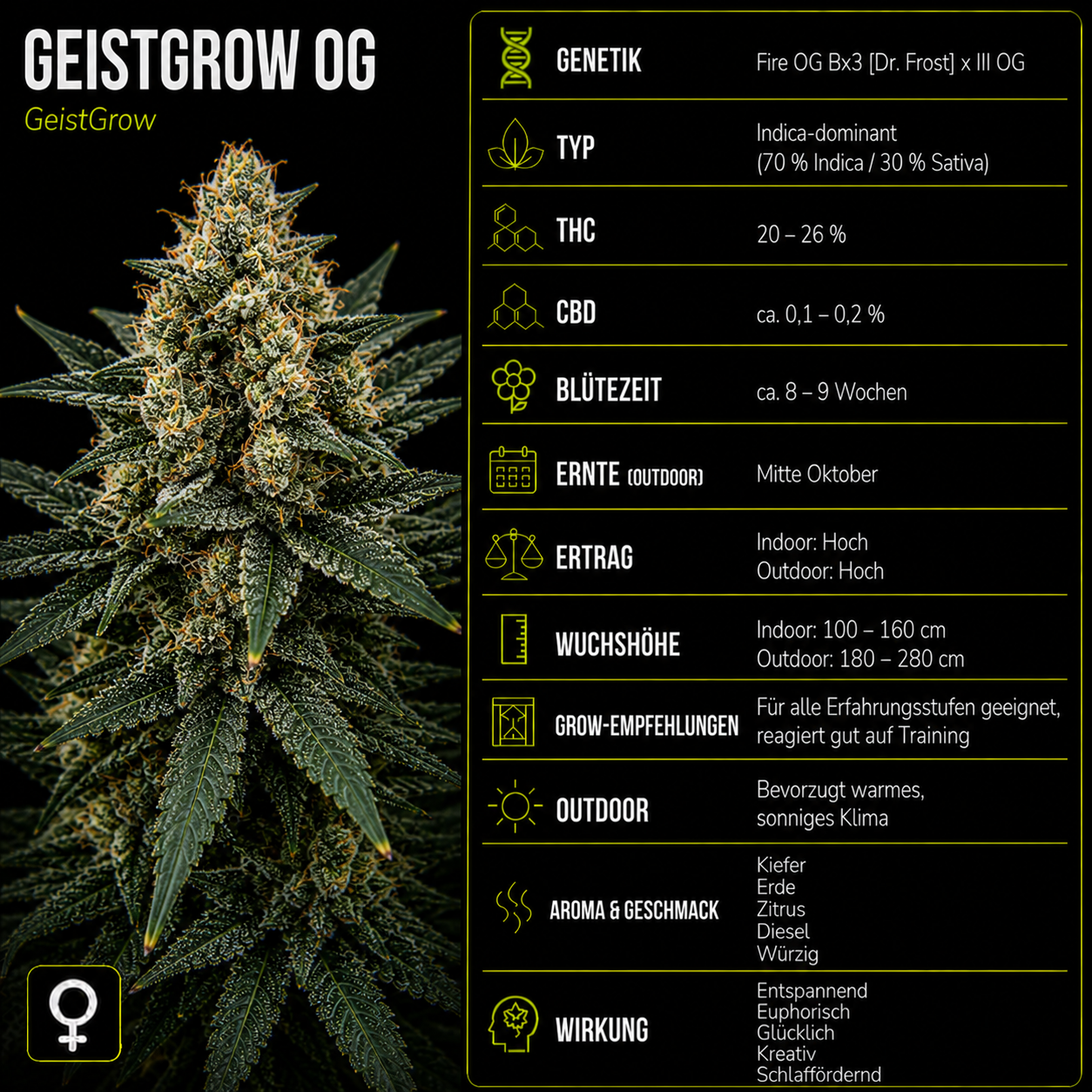 Fem | Geistgrow OG
