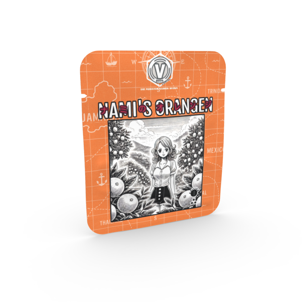Auto | Nami's Orangen