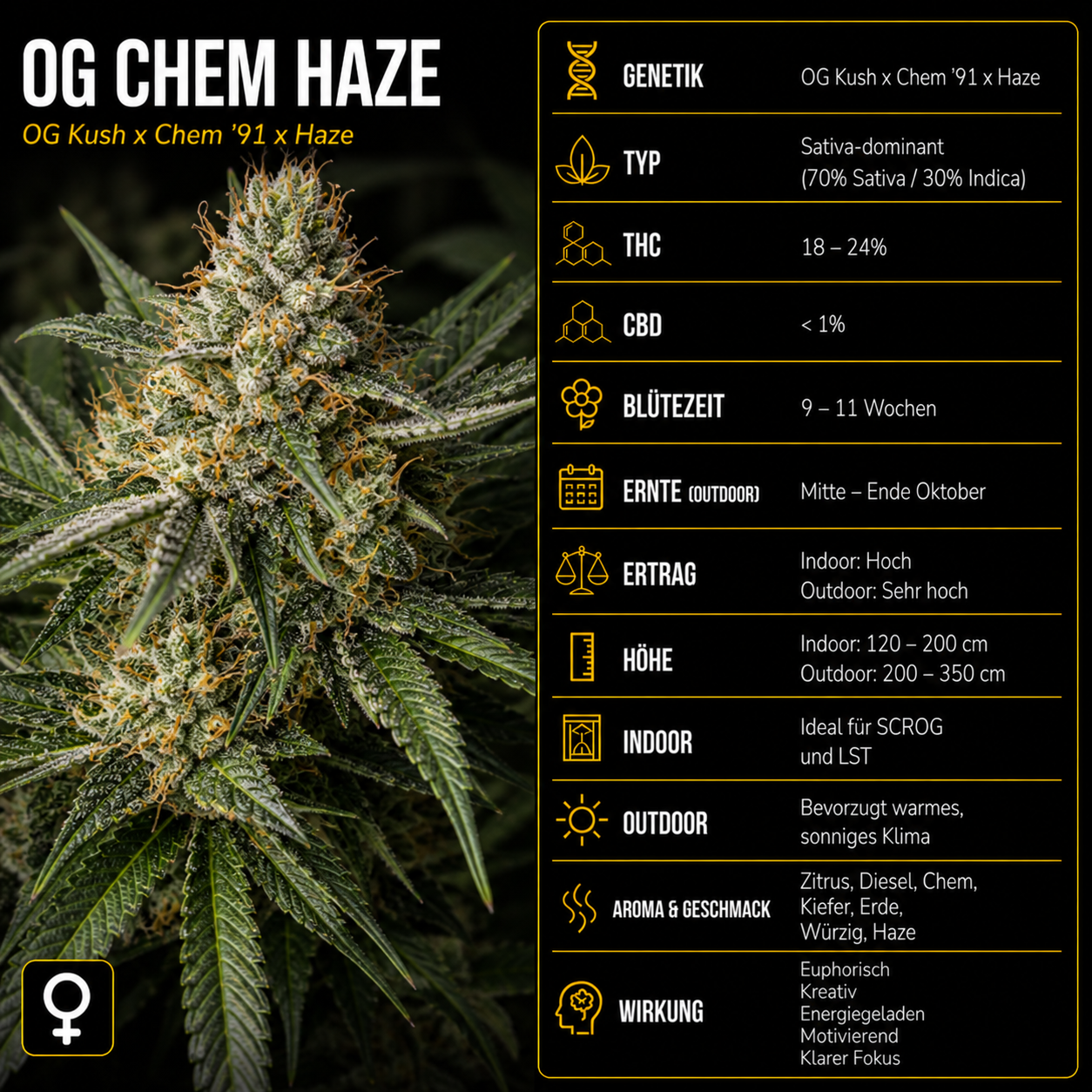 Fem | OG Chem Haze