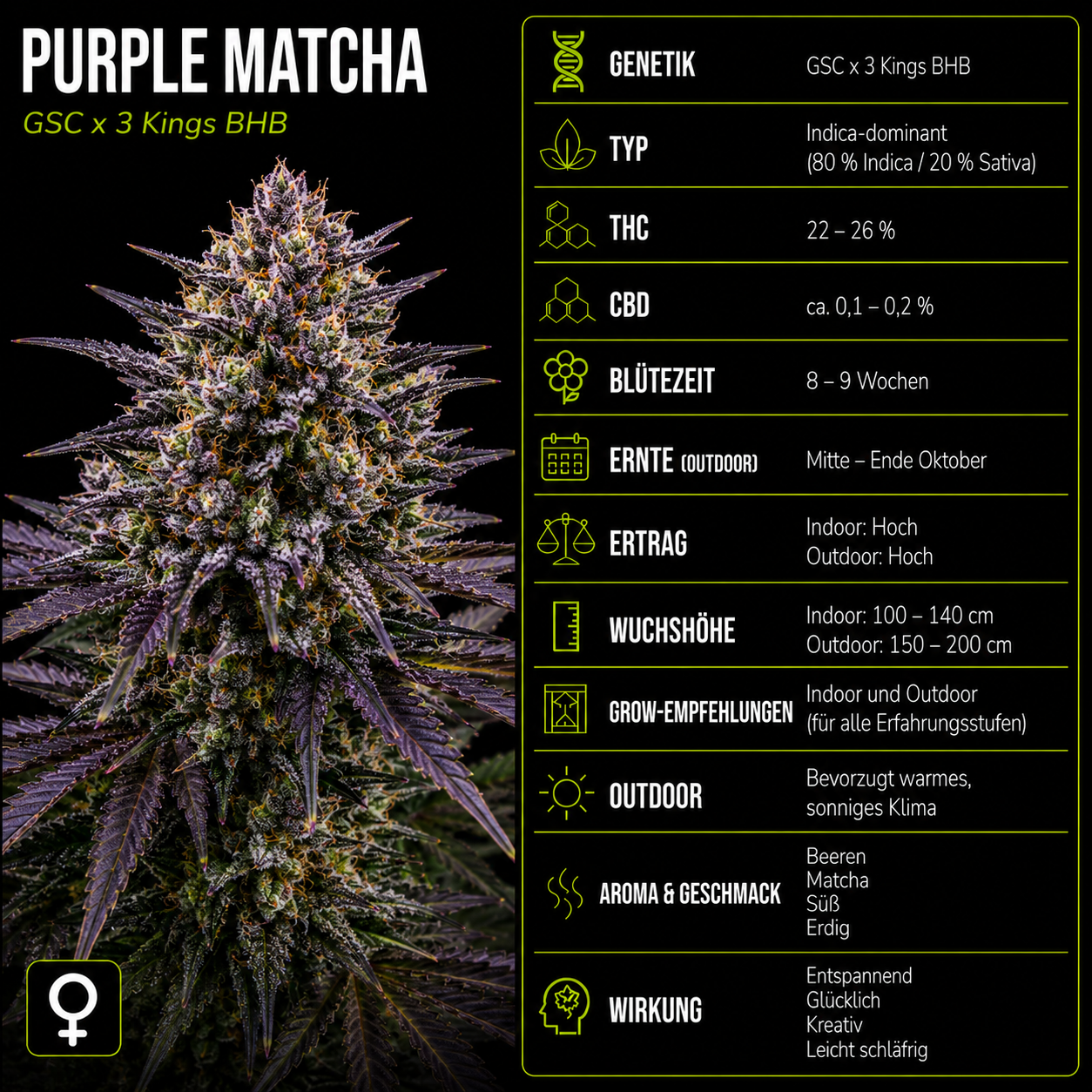 Fem | Purple Matcha