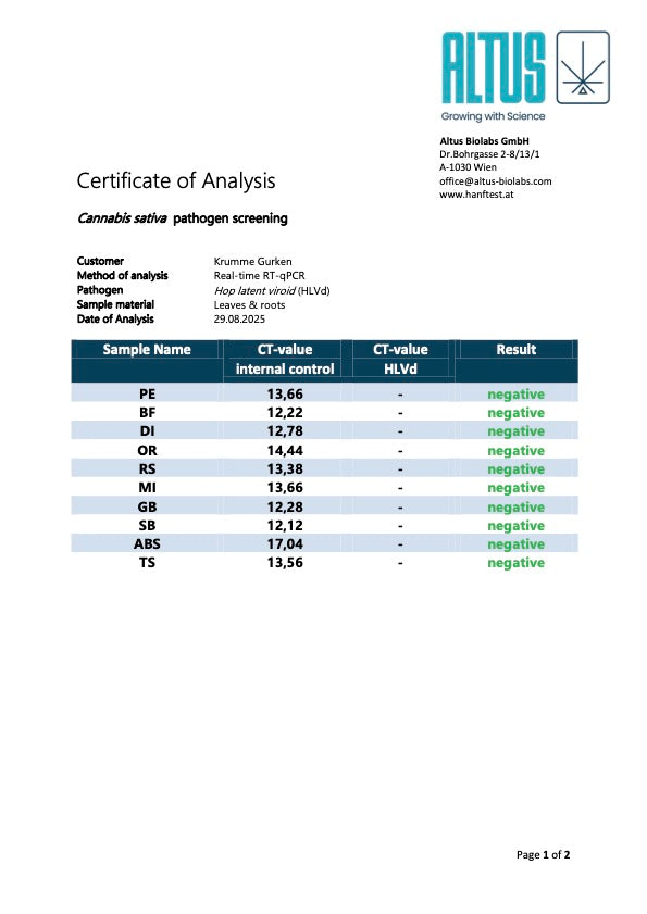 Dantes Inferno #8 (Mile High Dave Cut)