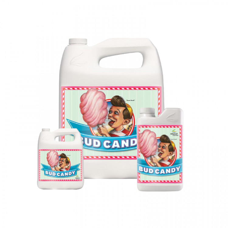 Bud Candy