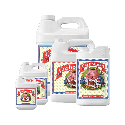 Carbo Load