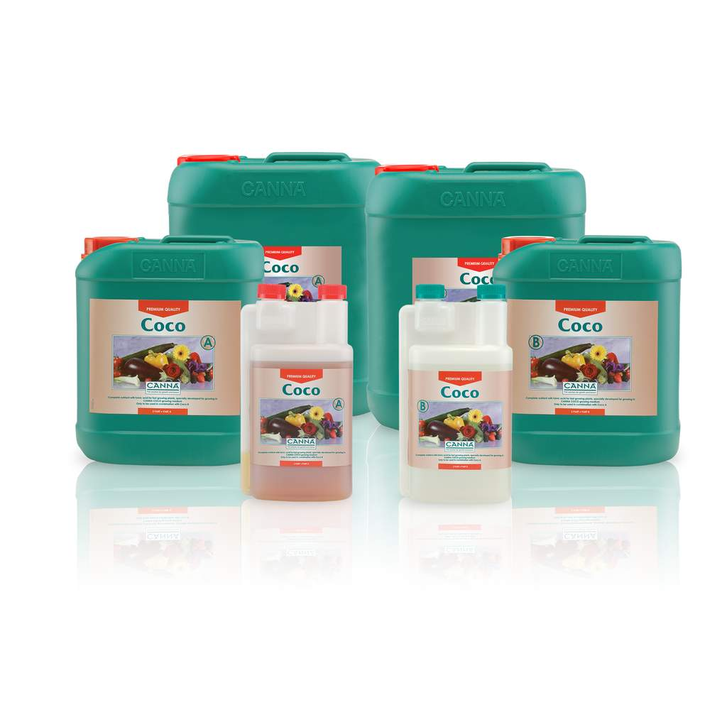 Coco A+B – Krumme Gurken Coco A+B – Krumme Gurken