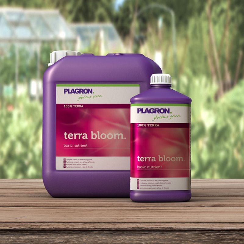 Terra Bloom