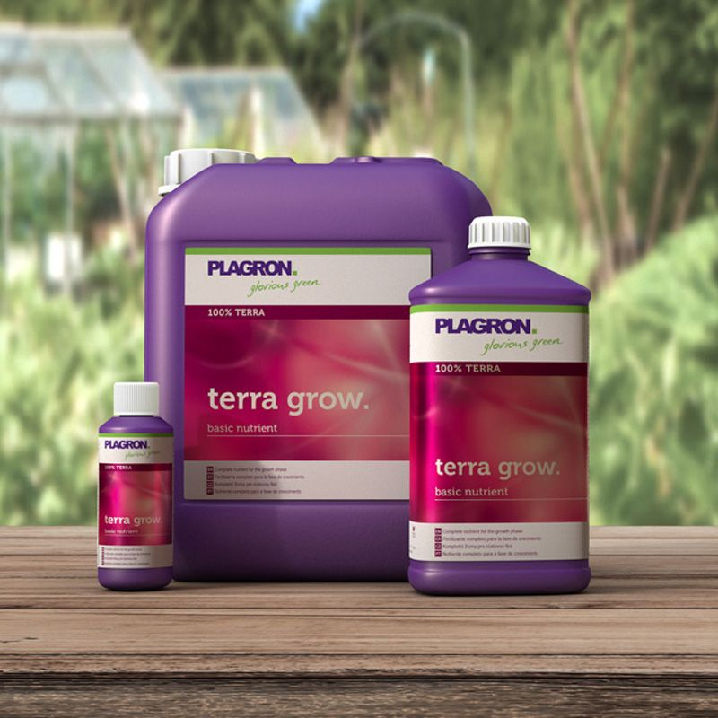 Terra Crecer