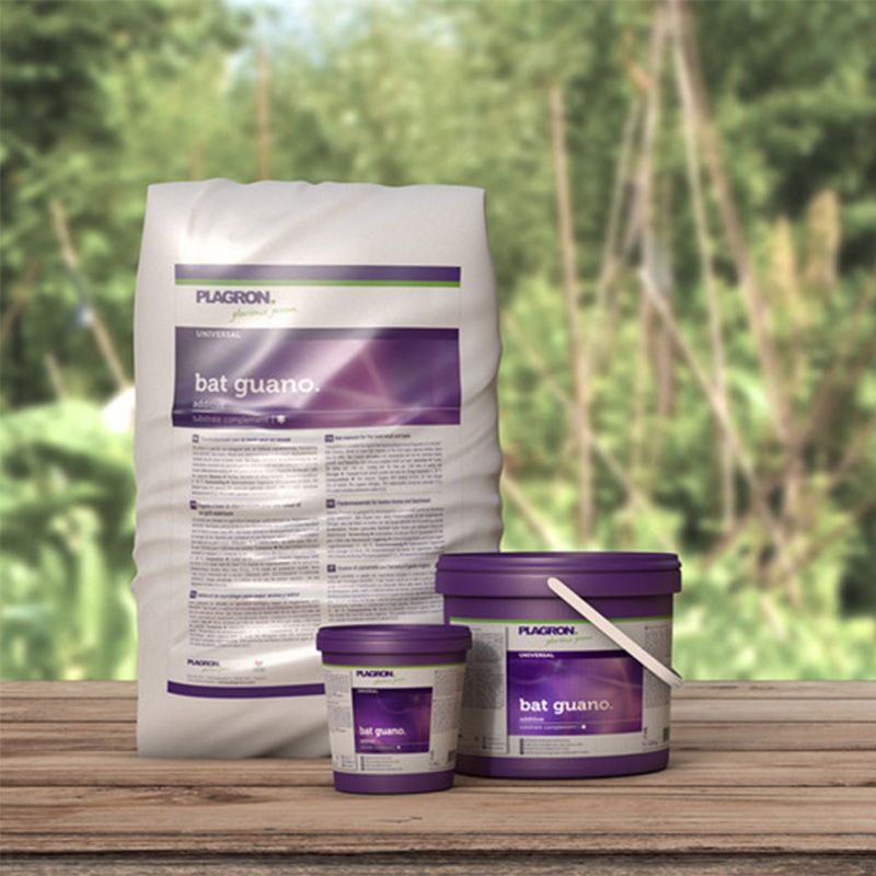 guano de murciélago