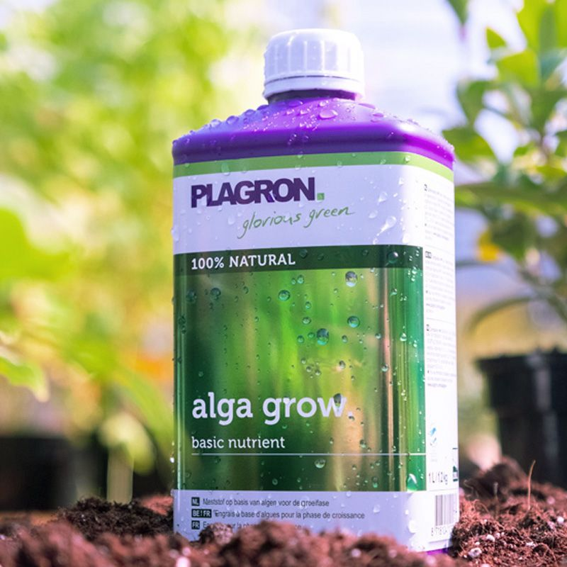 Alga Grow