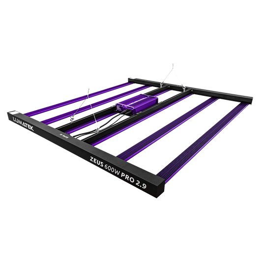 Lumatek ZEUS | 600W | Per | 2.9
