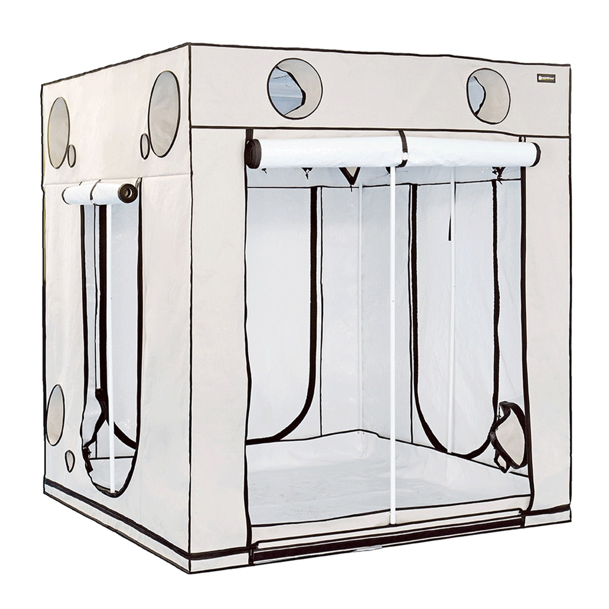 HOMEBOX Ambient Q200 Plus