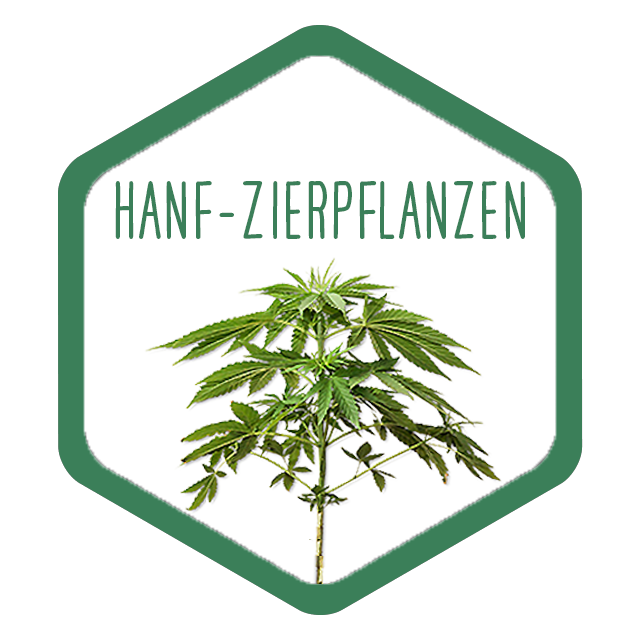 Hanfpflanzen online bestellen