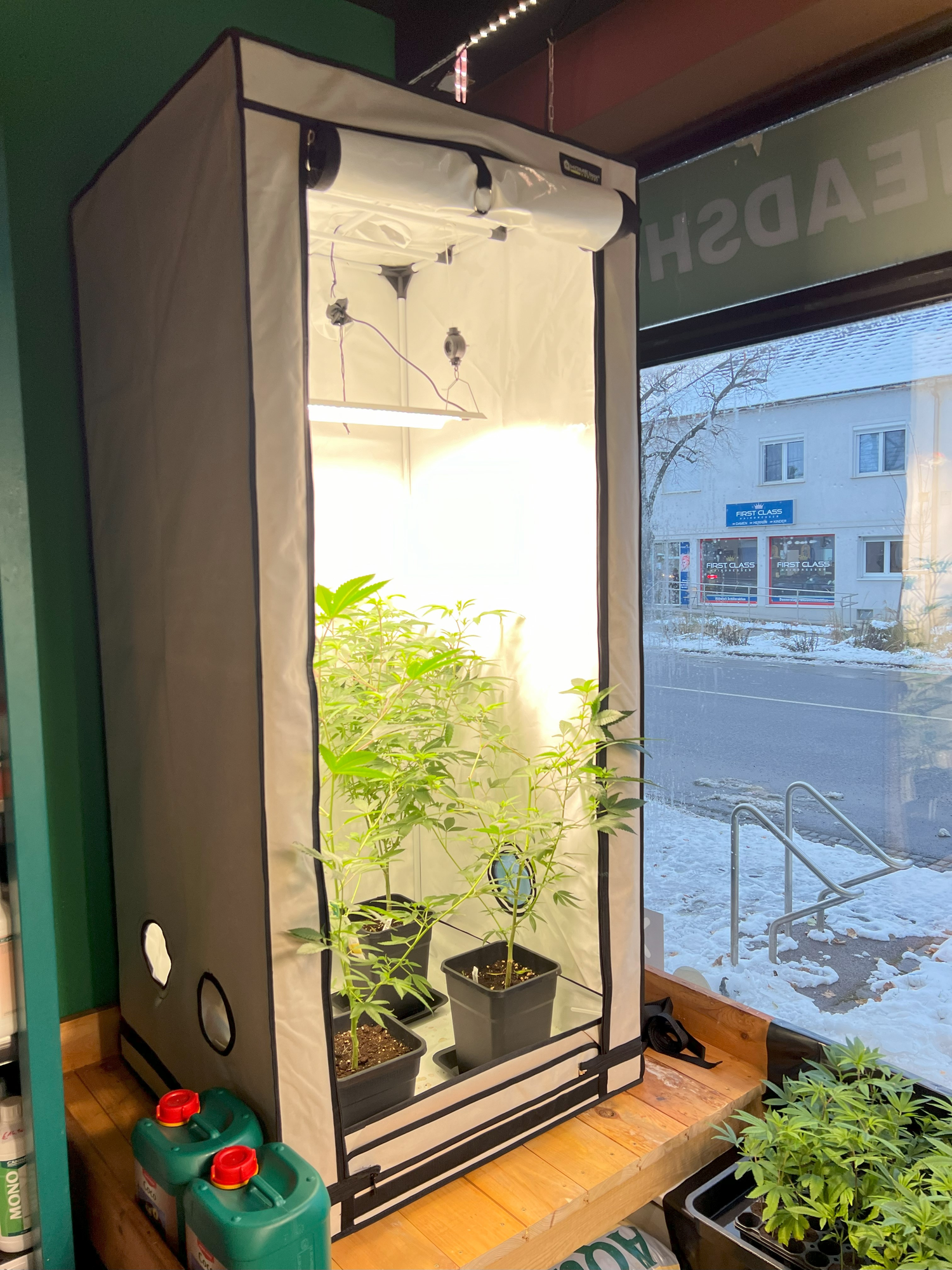 Growboxen