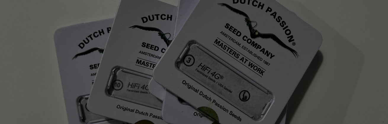 Dutch Passion - Hanfsamen online bestellen