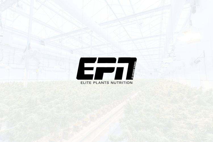 EPN by Krumme Gurken