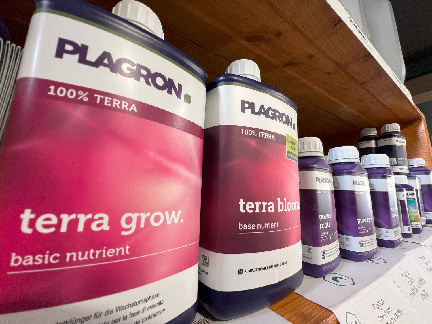 Plagron