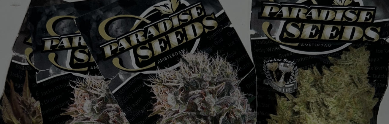 Paradise Seeds