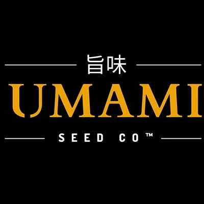 Umami Seed Co. – zertifizierte Original Klone
