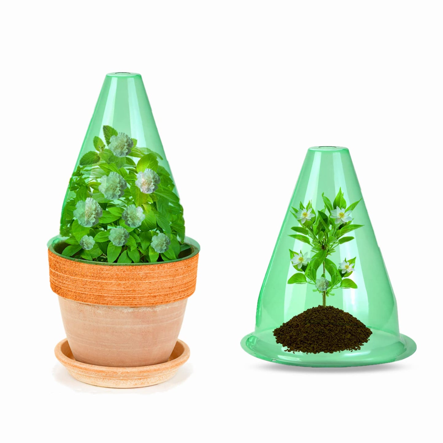 【24 Stück】 Pflanzenhut, Pflanzhütchen Transparente Abdeckung für Salatpflanzen zum Schutz vor Vögeln, Schnecken, Frost oder Witterung - Schützt Pflanzen vor Tierfraß, Ø 20cm, Grün (24 Stück)