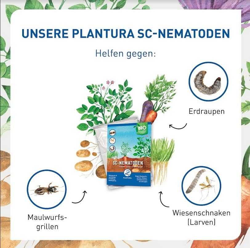 Plantura SF-Nematoden gegen Trauermücken, zum Gießen, hochwirksam & biologisch, Nützlinge aus Deutschland, 5 Mio für 5 m²/ ca. 50 Pflanzen