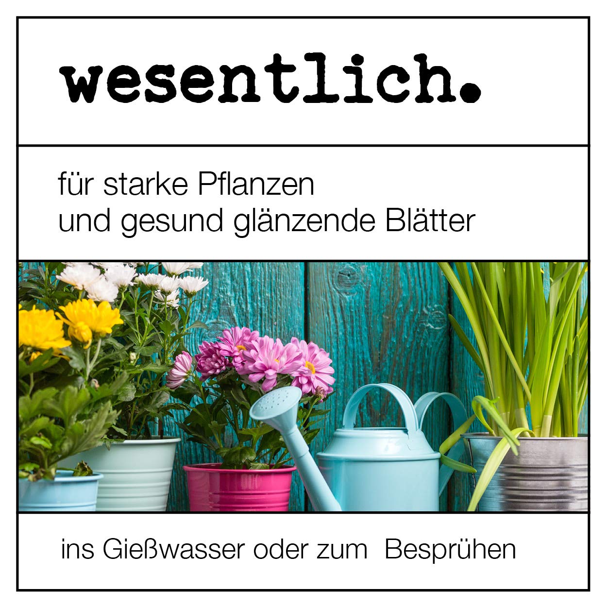 Neemöl mit Emulgator 1000ml - fertig gemischt für Haus und Garten - hochergiebig für 100l Spray