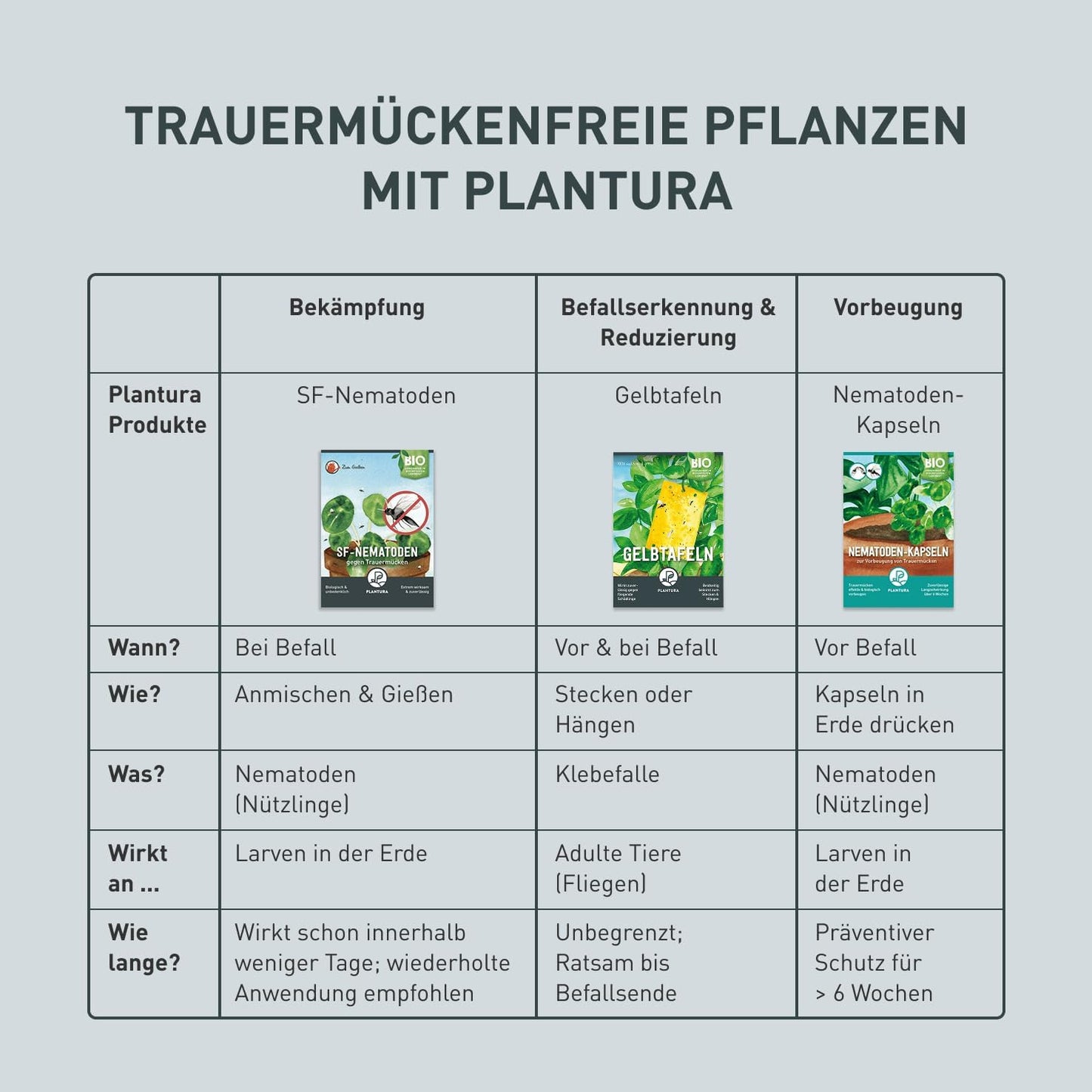 Plantura SF-Nematoden gegen Trauermücken, zum Gießen, hochwirksam & biologisch, Nützlinge aus Deutschland, 5 Mio für 5 m²/ ca. 50 Pflanzen