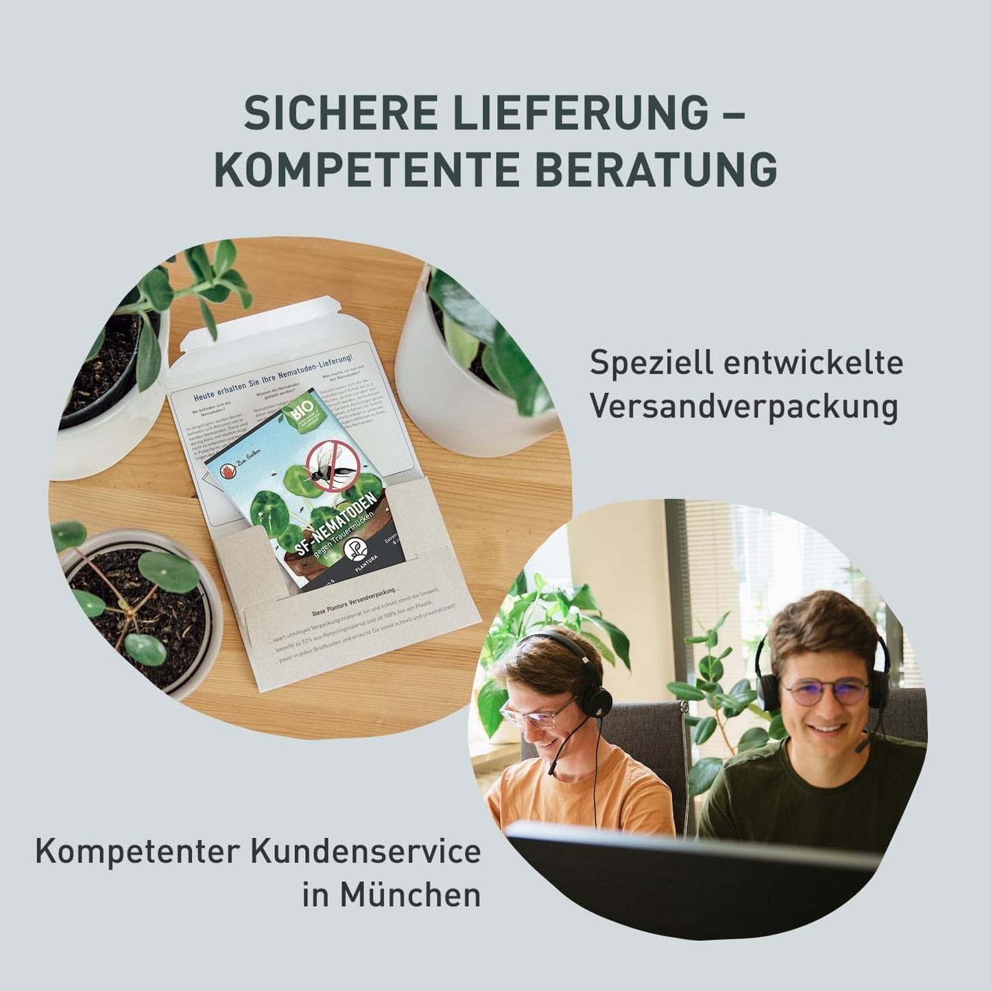 Plantura SF-Nematoden gegen Trauermücken, zum Gießen, hochwirksam & biologisch, Nützlinge aus Deutschland, 5 Mio für 5 m²/ ca. 50 Pflanzen