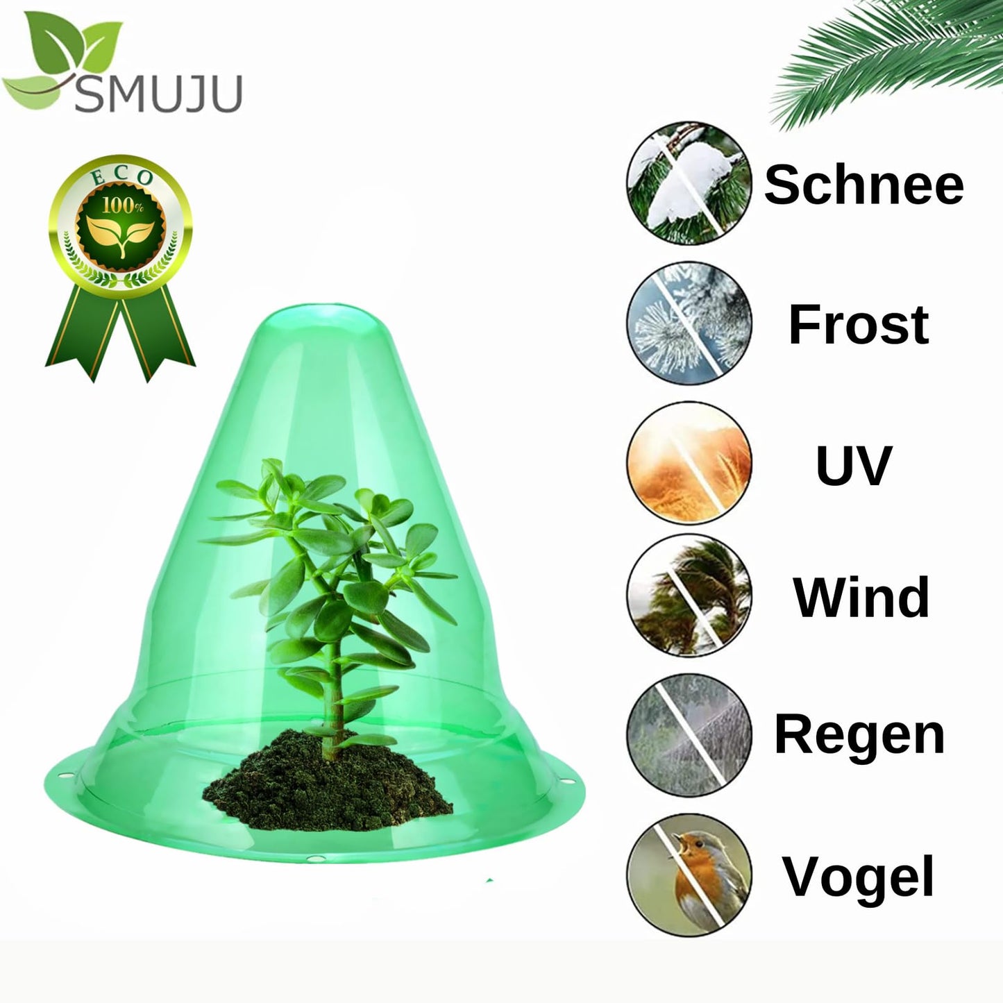 【24 Stück】 Pflanzenhut, Pflanzhütchen Transparente Abdeckung für Salatpflanzen zum Schutz vor Vögeln, Schnecken, Frost oder Witterung - Schützt Pflanzen vor Tierfraß, Ø 20cm, Grün (24 Stück)