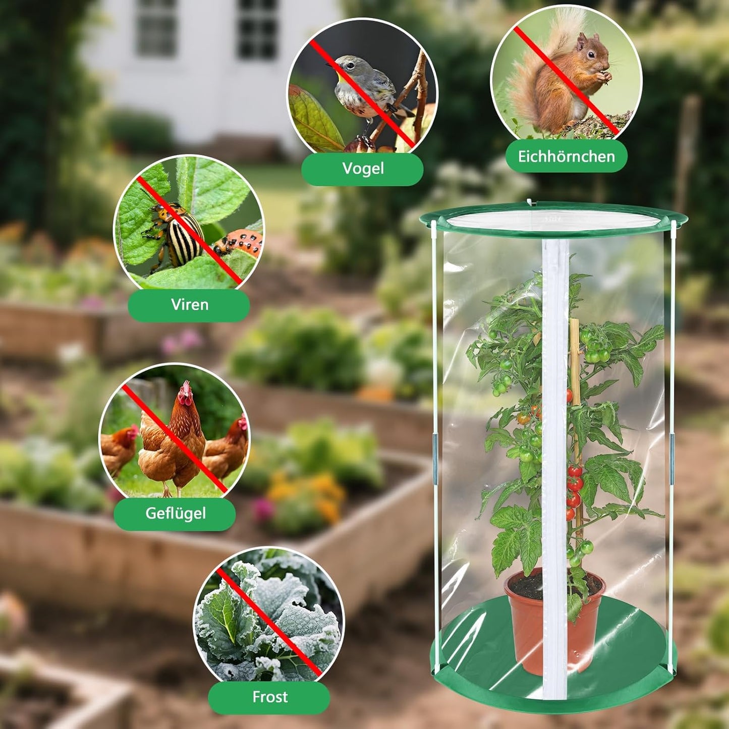 Pop Up Gewächshaus Klein, 2 Stück 53×30cm Mini Gewächshaus für Kübelpflanzen für Blumen Gemüse & Pilze, Transparentes PVC Überwinterungszelt für Pflanzen