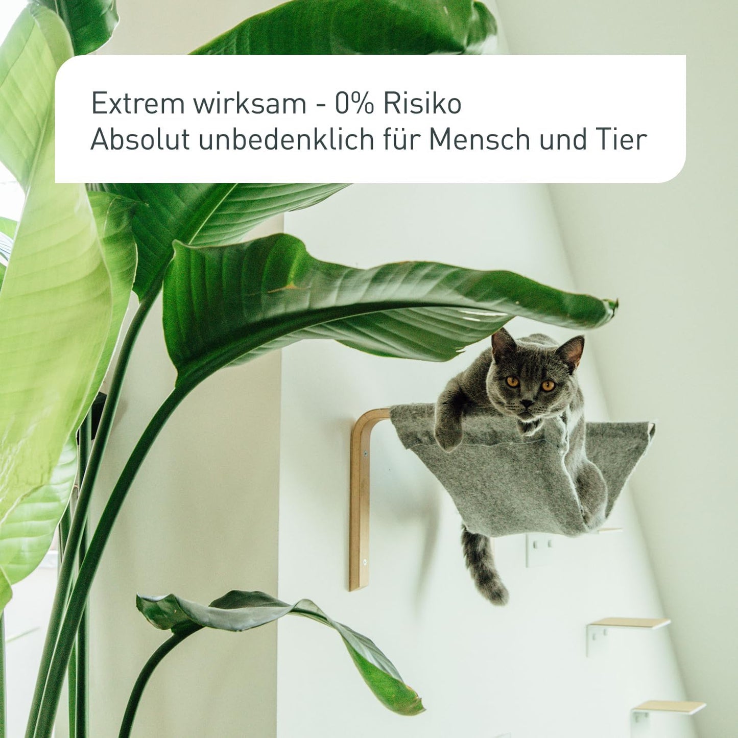 Plantura SF-Nematoden gegen Trauermücken, zum Gießen, hochwirksam & biologisch, Nützlinge aus Deutschland, 5 Mio für 5 m²/ ca. 50 Pflanzen