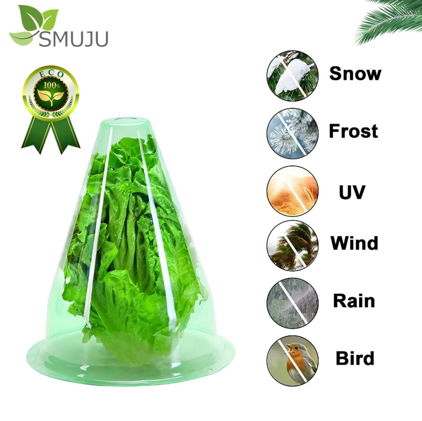 【24 Stück】 Pflanzenhut, Pflanzhütchen Transparente Abdeckung für Salatpflanzen zum Schutz vor Vögeln, Schnecken, Frost oder Witterung - Schützt Pflanzen vor Tierfraß, Ø 20cm, Grün (24 Stück)