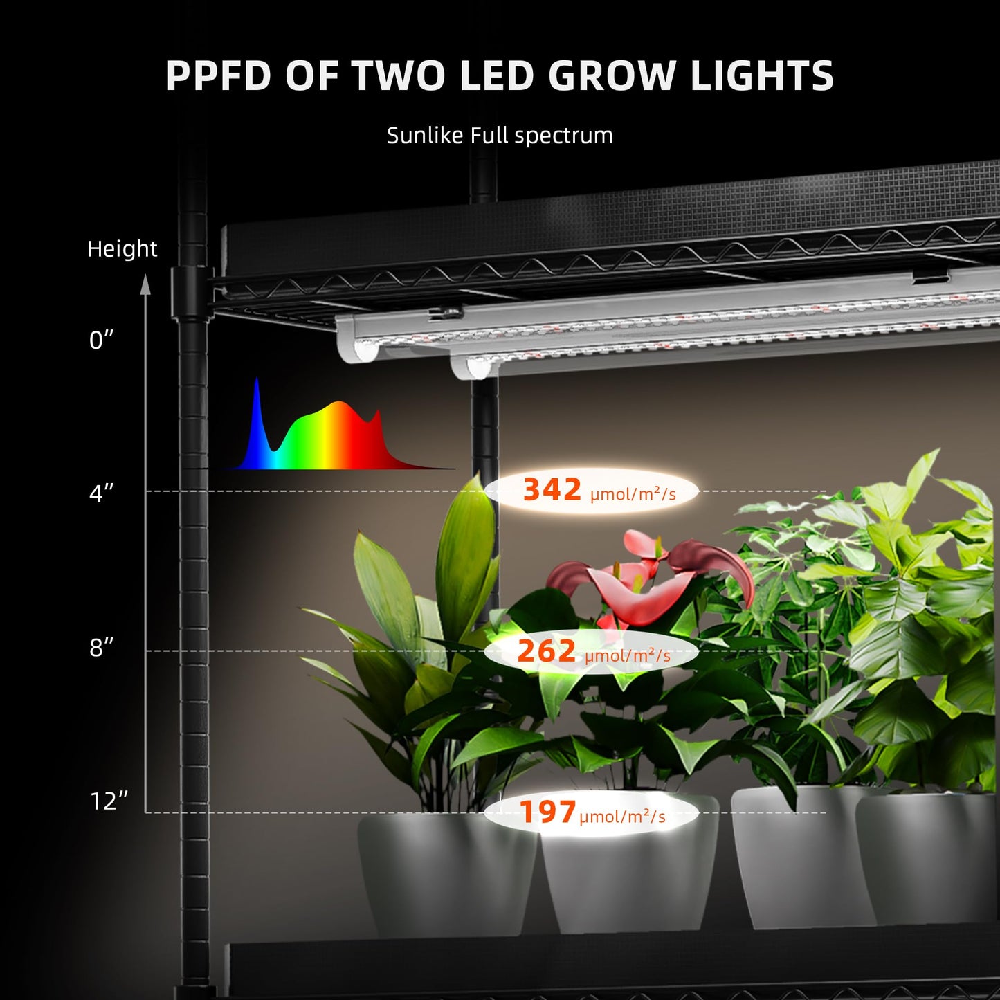 Spider Farmer 88,5cm LED Pflanzenlampe für Zimmerpflanzen, Vollspektrum (3000K+5000K+660nm), 200W (8x25W), 1296 LEDs, IP65 Wasserdicht, Verkettbares Design für Regale und Gewächshäuser, 8er-Pack