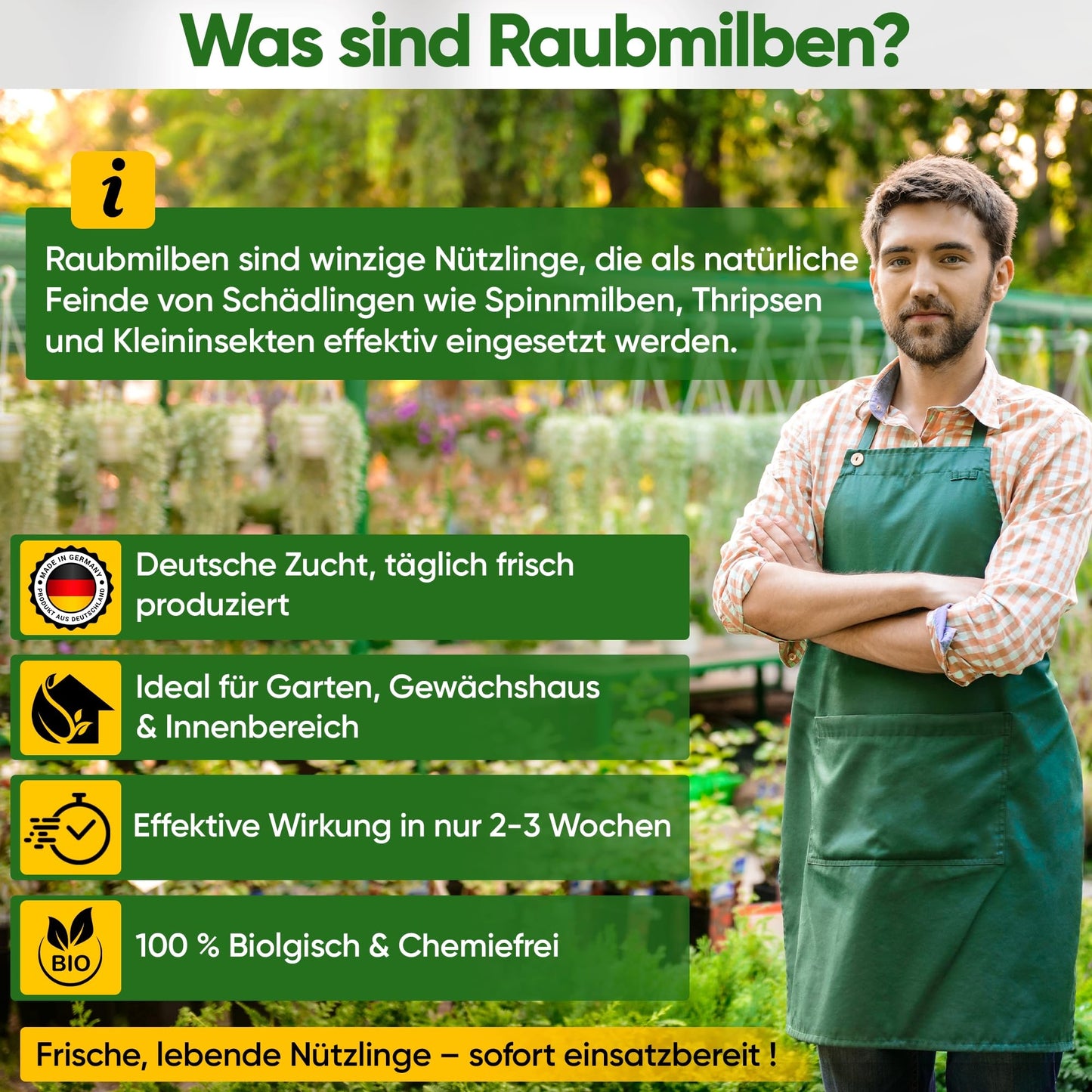 Raubmilben-Mix gegen Thripse & Spinnmilben – GREEN GUARDIA | 3-Mix mit 6 Tüten | Biologische Schädlingsbekämpfung für Pflanzen