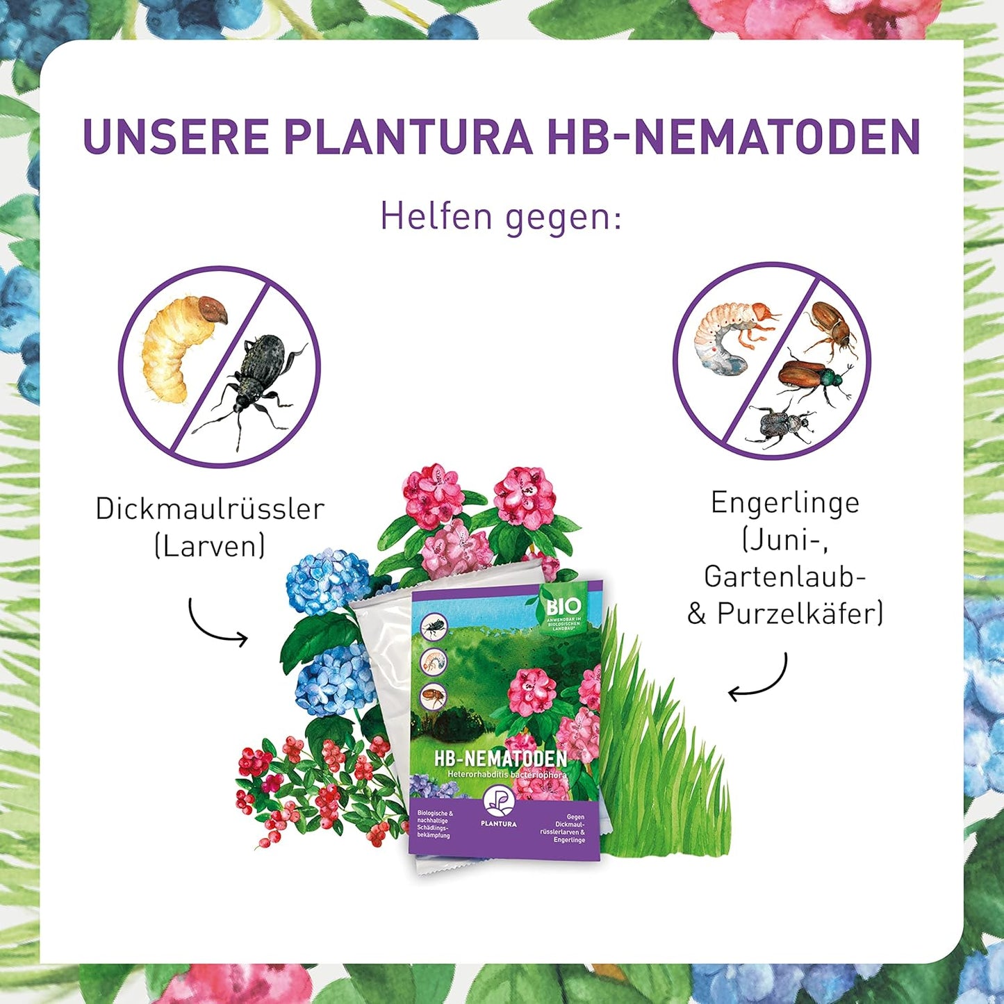 Plantura SF-Nematoden gegen Trauermücken, zum Gießen, hochwirksam & biologisch, Nützlinge aus Deutschland, 5 Mio für 5 m²/ ca. 50 Pflanzen
