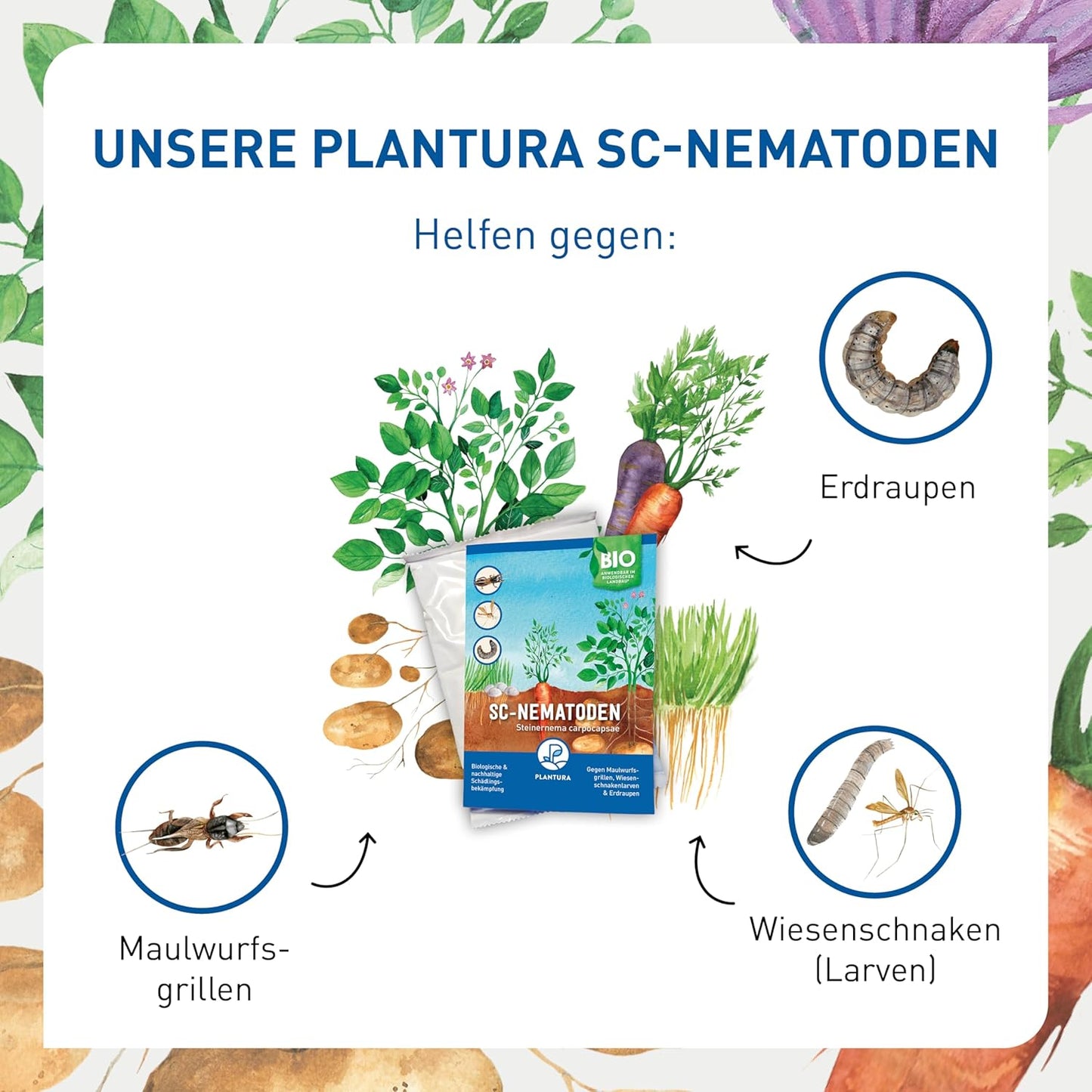 Plantura SF-Nematoden gegen Trauermücken, zum Gießen, hochwirksam & biologisch, Nützlinge aus Deutschland, 5 Mio für 5 m²/ ca. 50 Pflanzen