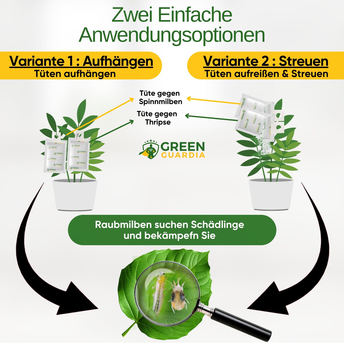 Raubmilben-Mix gegen Thripse & Spinnmilben – GREEN GUARDIA | 3-Mix mit 6 Tüten | Biologische Schädlingsbekämpfung für Pflanzen