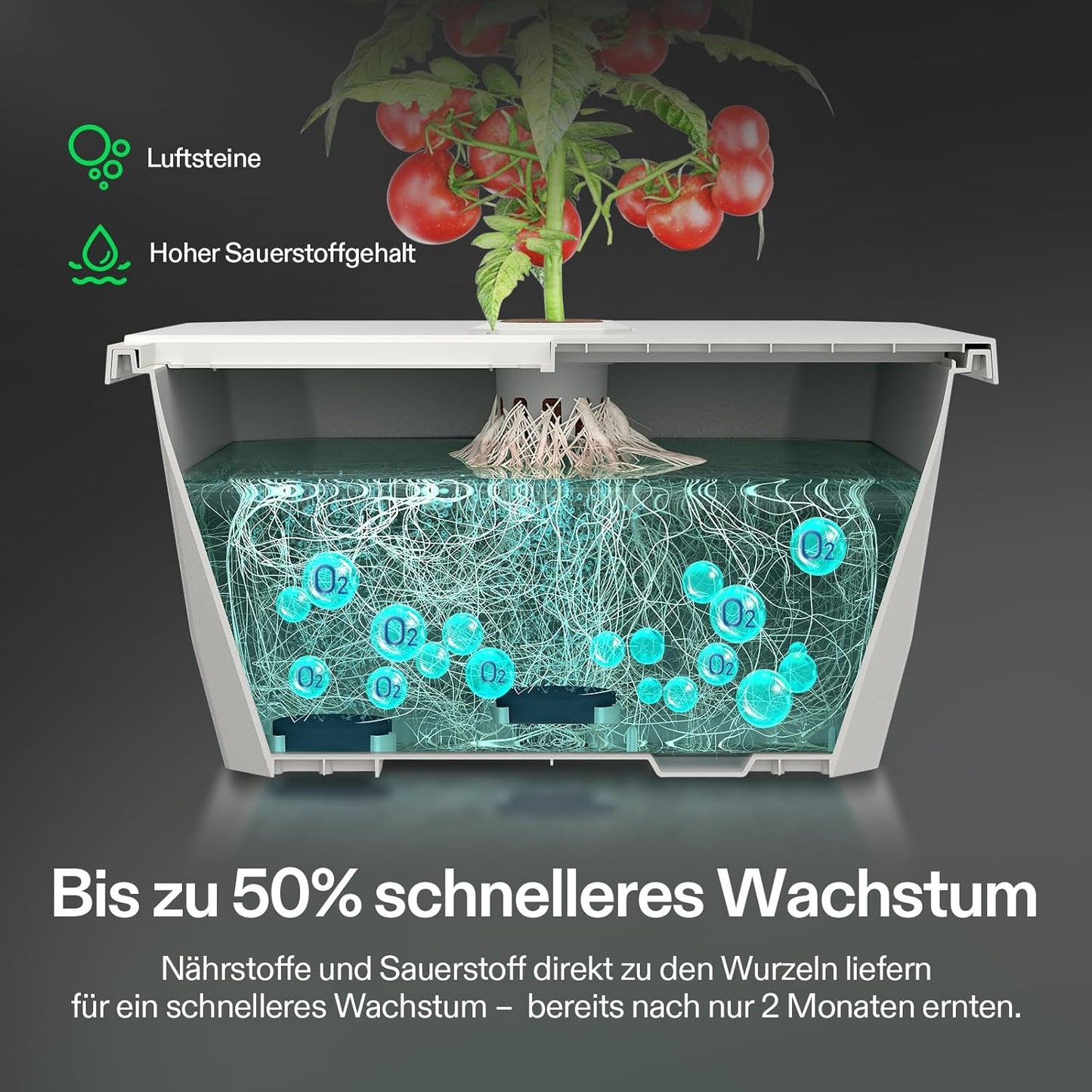 VGrow All-in-One Smart Grow Box, Professionelles System mit Samsung LM301H EVO Grow Lampe, Fortschrittliches Zirkulations- und Ventilationssystem, Bewässerung, Nährstoffzufuhr für Indoor-Hydroponik
