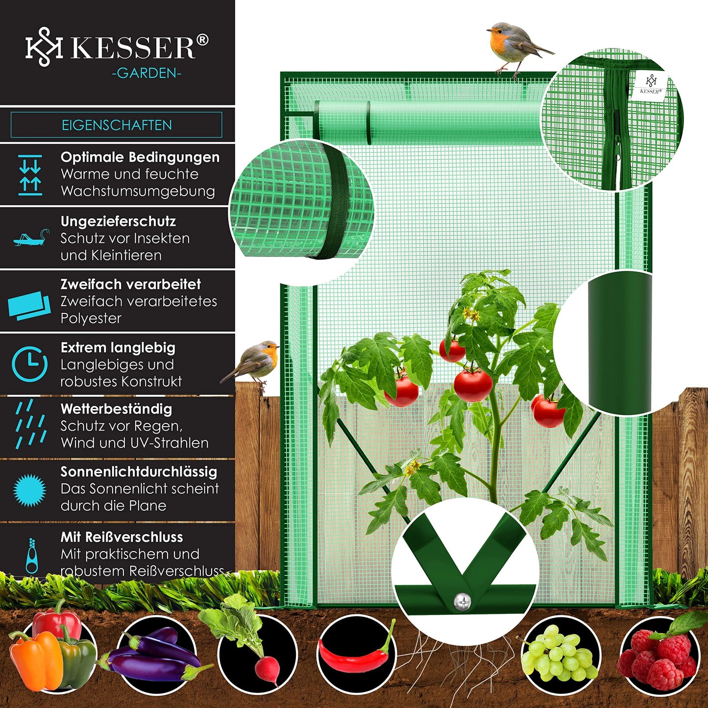 KESSER® Premium Tomatengewächshaus Foliengewächshaus, Gewächshaus klein, Tomatenhaus, Treibhaus mit Tür zum Aufrollen - 100 x 50 x 150 cm Frühbeet, Gemüse, Blumen, Obst, Inkl. Montagezubehör, Garten