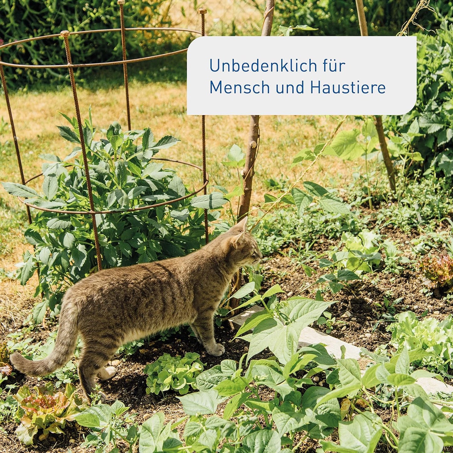 Plantura SF-Nematoden gegen Trauermücken, zum Gießen, hochwirksam & biologisch, Nützlinge aus Deutschland, 5 Mio für 5 m²/ ca. 50 Pflanzen