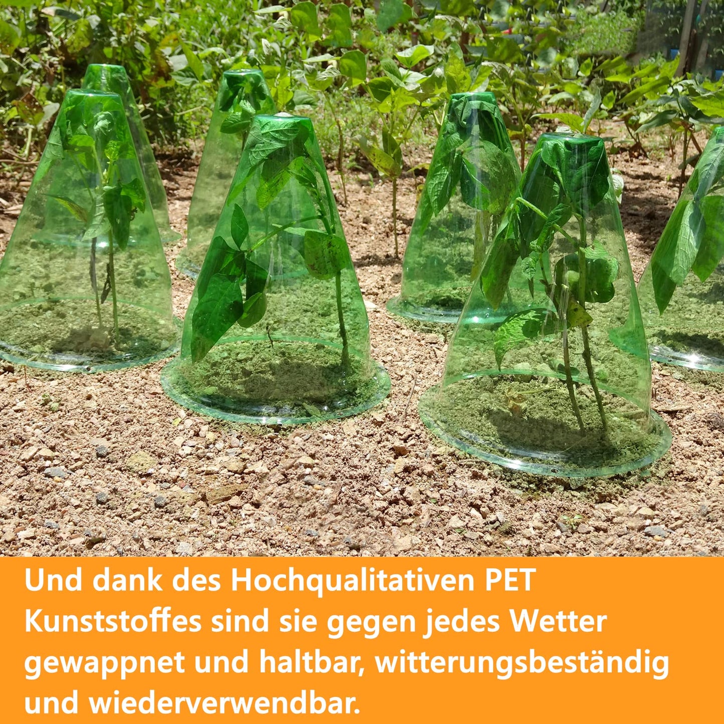【24 Stück】 Pflanzenhut, Pflanzhütchen Transparente Abdeckung für Salatpflanzen zum Schutz vor Vögeln, Schnecken, Frost oder Witterung - Schützt Pflanzen vor Tierfraß, Ø 20cm, Grün (24 Stück)
