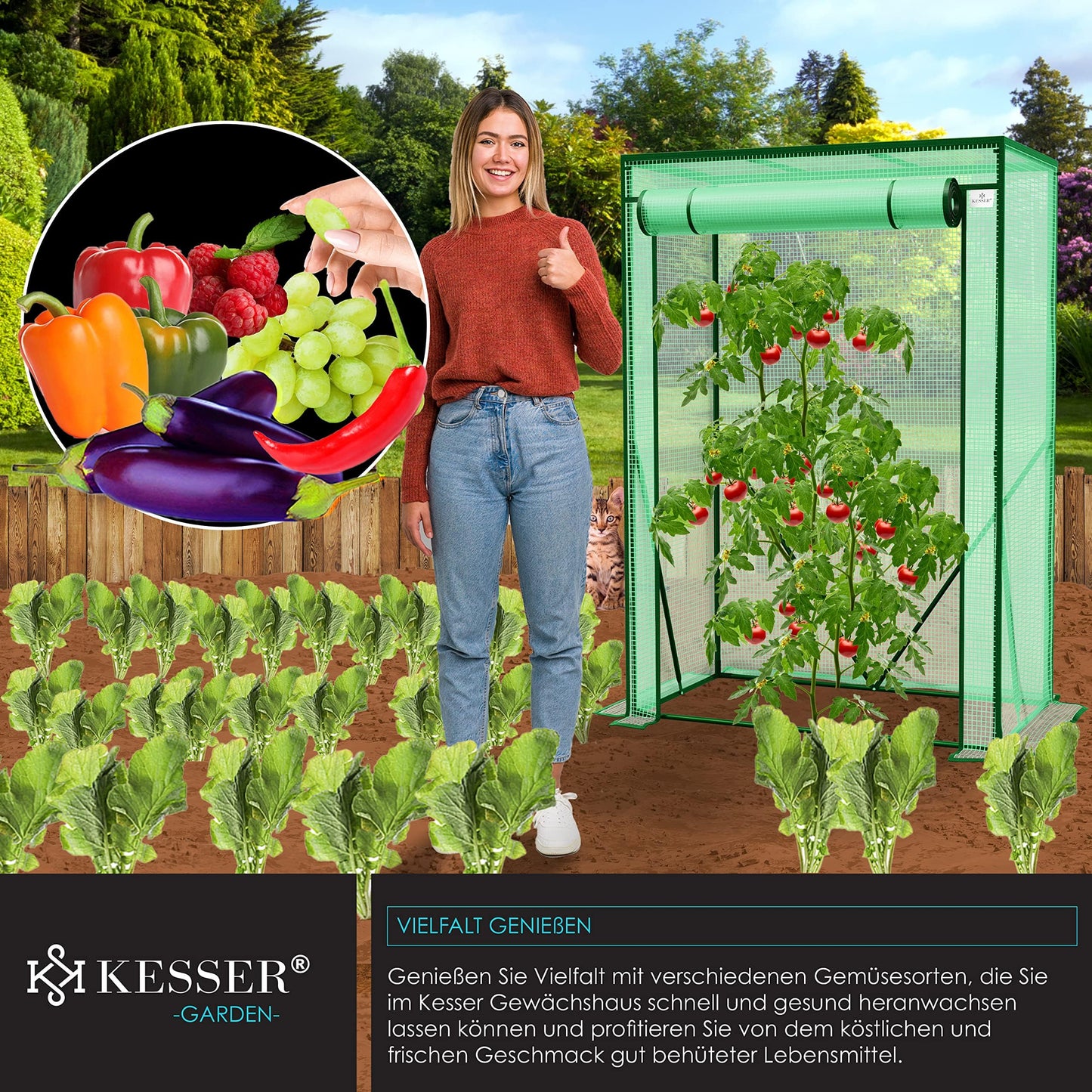 KESSER® Premium Tomatengewächshaus Foliengewächshaus, Gewächshaus klein, Tomatenhaus, Treibhaus mit Tür zum Aufrollen - 100 x 50 x 150 cm Frühbeet, Gemüse, Blumen, Obst, Inkl. Montagezubehör, Garten