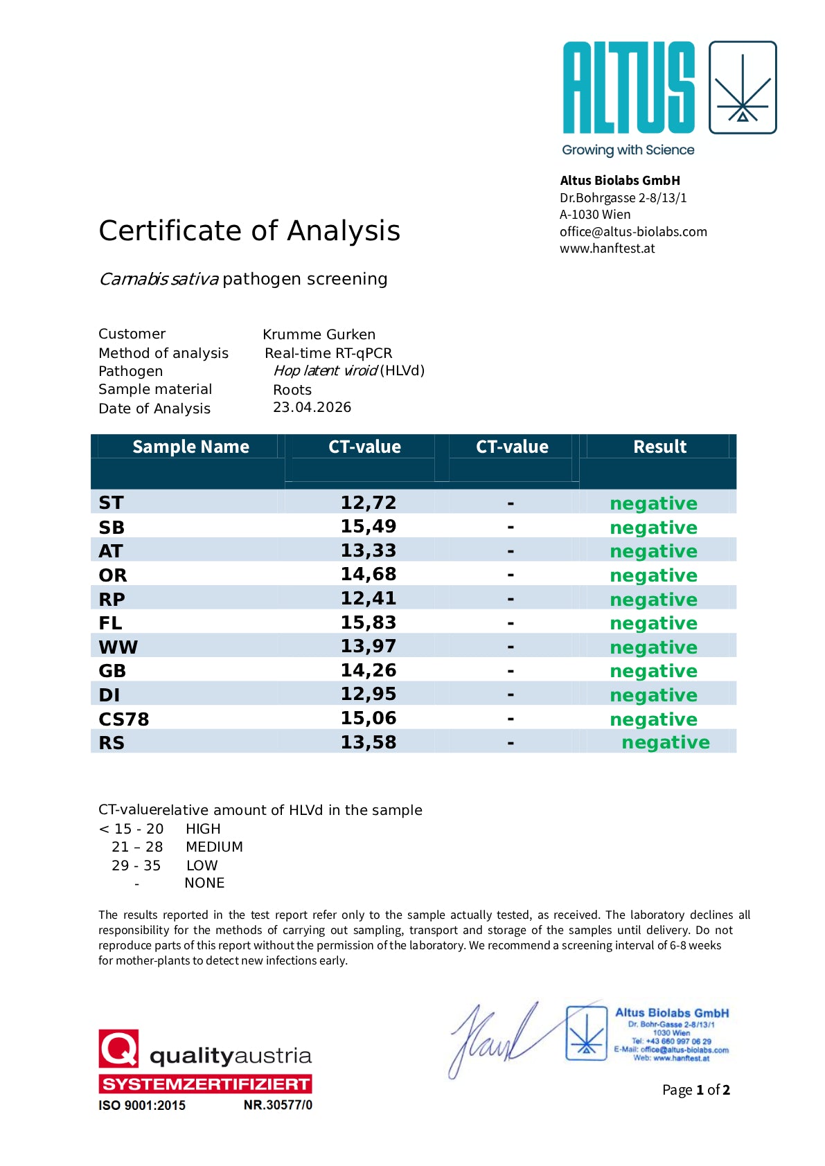 Steckling im Eazyplug