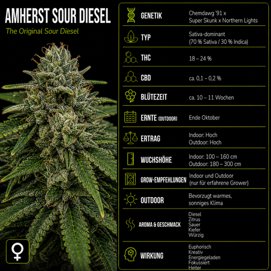 Fem | Amherst Sour Diesel