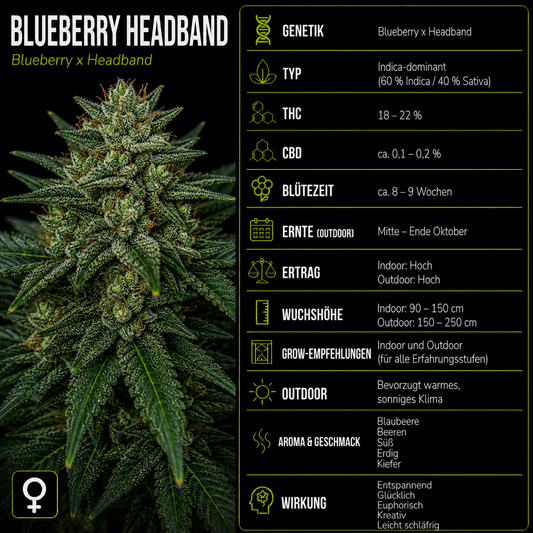 Fem | Blueberry Headband