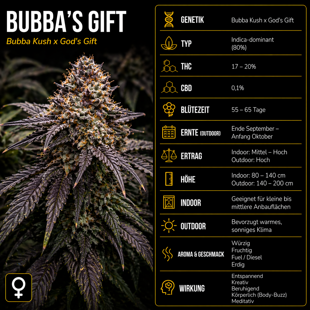 Fem | Bubba's Gift