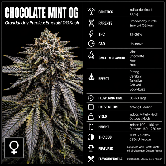 Fem | Chocolate Mint OG