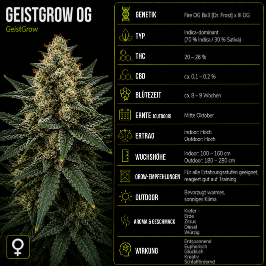 Fem | Geistgrow OG