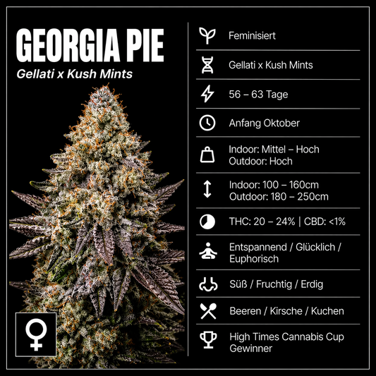 Fem | Georgia Pie